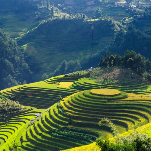 Northern Vietnam Tours Package 6 Days