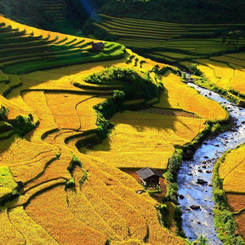 Sa Pa trekking and Bac Ha Market 3 Days