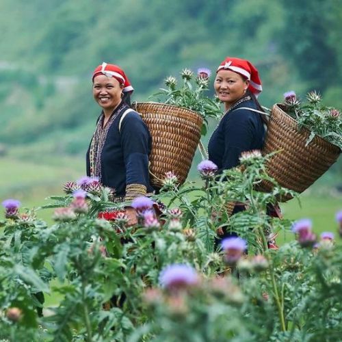 Sapa Trekking Tours 3 Days