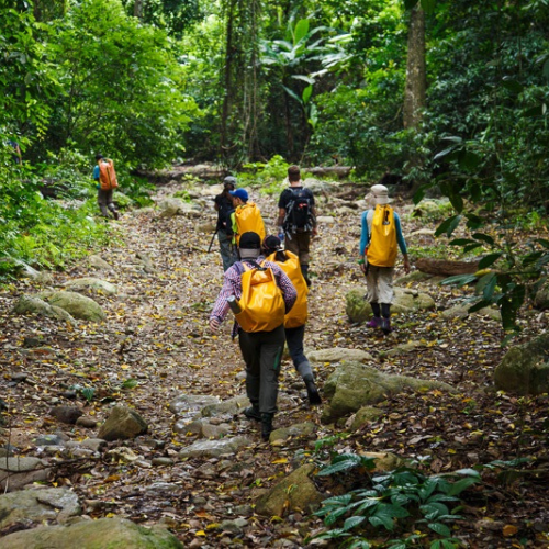 Cuc Phuong National Park Full Day