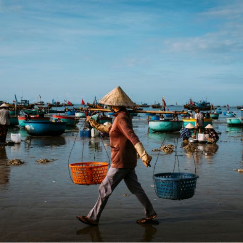 Deep Insight Vietnam Package 18 days